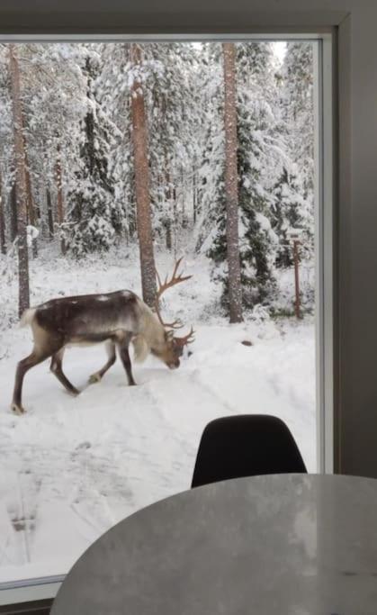 Arctic Circle Guesthouse Рованиеми Экстерьер фото